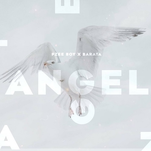 Barata x Pzee Boy - Angel (Original Mix)