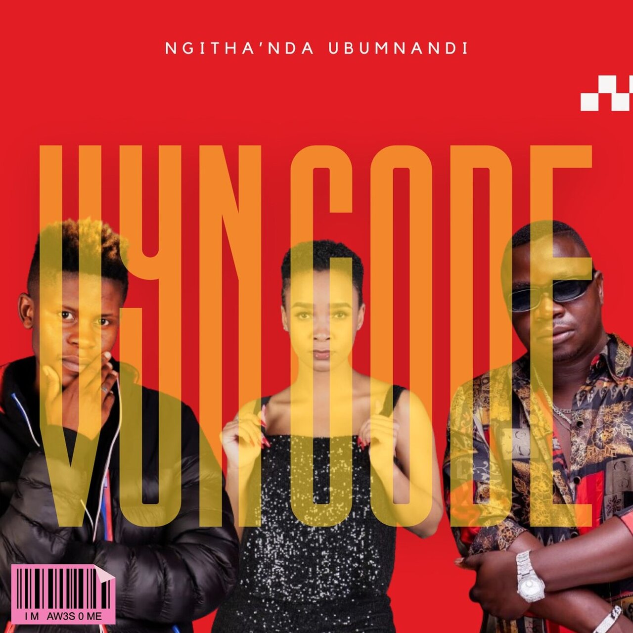 VYN CODE – Ngithanda Ubumnandi (feat. Mr Brown, Sdala B & PAIGE)