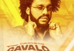 DJ Nelasta Nel Flow - Cavalo Maluco (Remix)