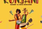 Nandy & Sho Madjozi - Kunjani