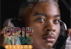 Drip Gogo - Ayavuma (feat. DJ Sumbody & The Lowkeys)