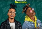 Mthunzi - Baningi (feat. Mlindo The Vocalist)