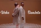 Gambeta Flock x Weka Wellemaa - GAMBETA