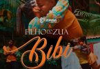 Filho do Zua - Bibi