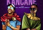 Konke & Musa Keys - Kancane (feat. Nkulee501, Skroef28 & Chley)